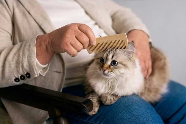 Аллергия на шерсть кошек: влияние генетических факторов